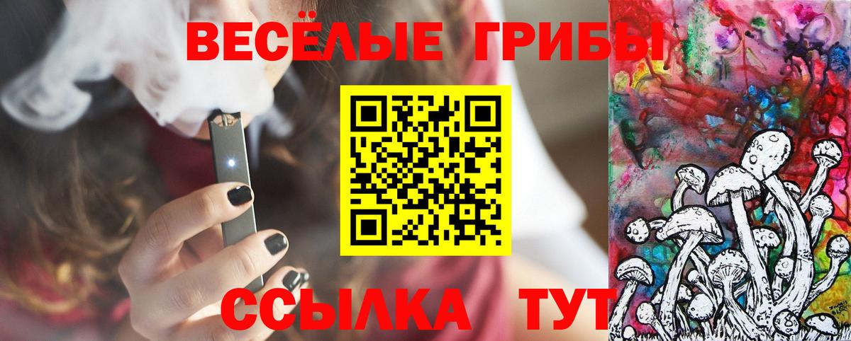 Галлюциногенные грибы мухоморы Вологда