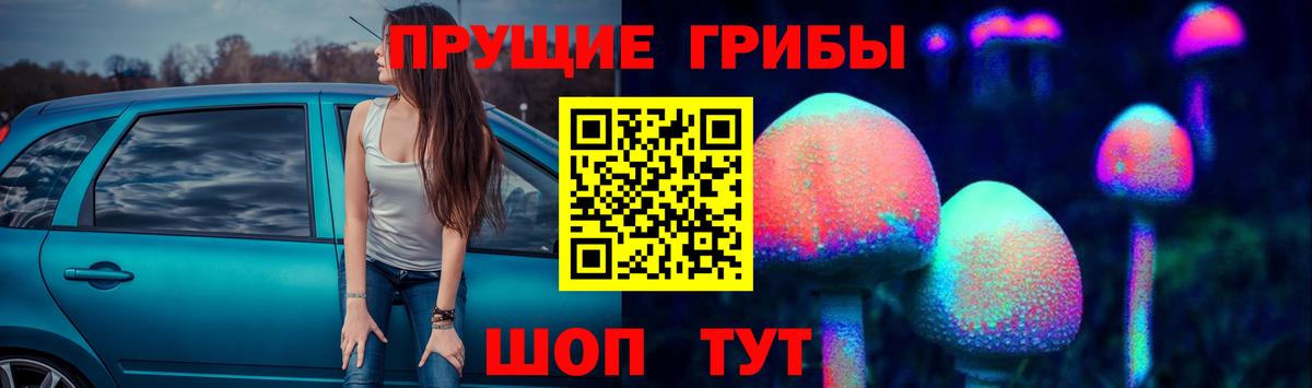 Галлюциногенные грибы мицелий  Псилоцибиновые грибы мухоморы  Вход с VPN  Вологда 